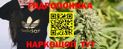 прущие грибы Бугуруслан