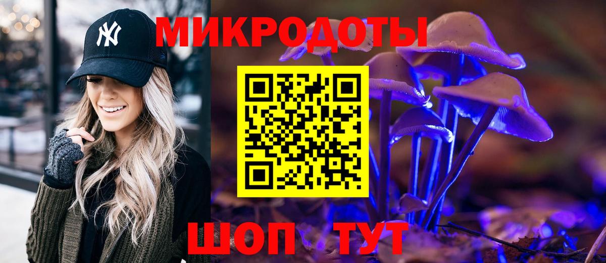 Псилоцибиновые грибы Psilocybe  Вход с VPN  Псилоцибиновые грибы Psilocybine cubensis  Муравленко 
